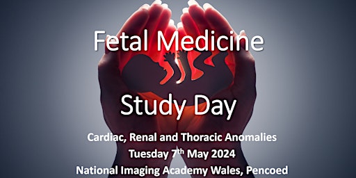 Fetal Medicine Study Day primary image