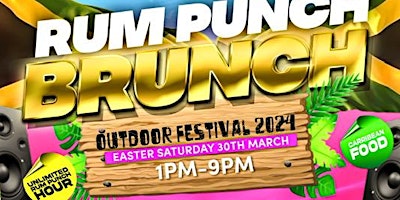 Imagem principal do evento Bristol VIP Rum Punch Festival