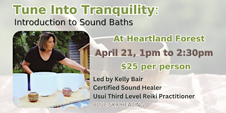 Tune Into Tranquility- Introduction to Sound Baths