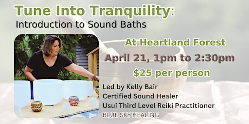 Imagem principal do evento Tune Into Tranquility- Introduction to Sound Baths