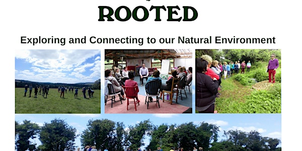 CPD Summer Course for Primary Teachers: ROOTED