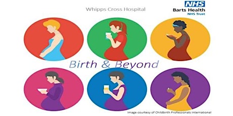 Birth and Beyond Online Tuesday morning 9:30am-12pm - POSTNATAL PERIOD primary image