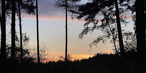 Primaire afbeelding van Dawn Chorus Day with Coffee & Croissants