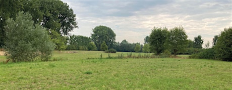 Kom genieten in het Walbos!