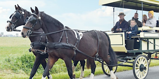 Hauptbild für De Tieltse Paardentram