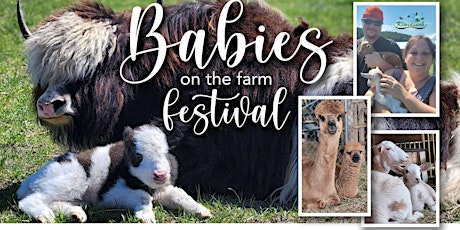 Babies on the Farm Festival