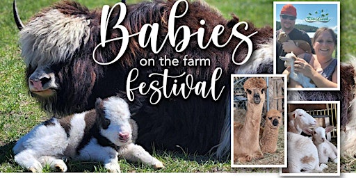 Immagine principale di Babies on the Farm Festival 