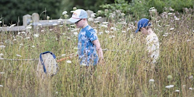 Imagem principal de WILDFAMILIES Pond Dipping and Minibeast Hunting at The Wolseley Centre