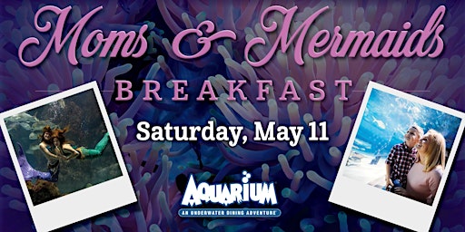 Primaire afbeelding van Aquarium Nashville - Moms & Mermaids Breakfast