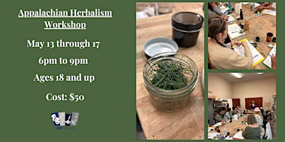 Imagen principal de Appalachian Herbalism Workshop