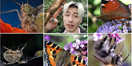 Immagine principale di Tiny Worlds, Big Impact: Exploring Biodiversity with Leo Carroll 