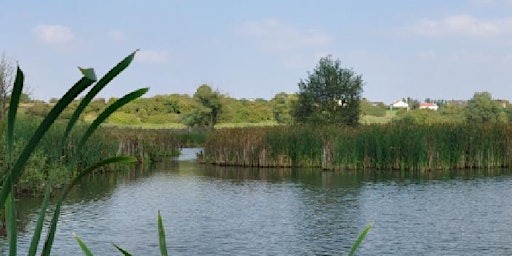 Primaire afbeelding van PAYSAGE EN DEVENIR