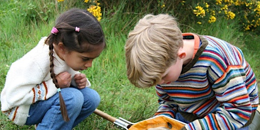 Imagen principal de Hanningfield Pond Dipping