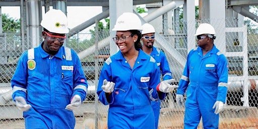 Nigerian Energy Skills, Technology and Innovation Forum primary image