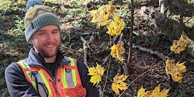 Winter Tree Identification- Bethel University VT primary image