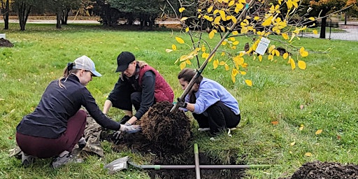 Imagem principal do evento Memorial Park Tree Planting