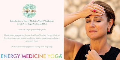 Immagine principale di Intro to Energy Medicine Yoga Workshop: Elevate Your Yoga Practice and Heal 