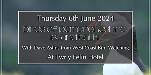 Hauptbild für Birds of Pembrokeshire Talk with Dave Astins of West Coast Birdwatching