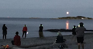April’s FULL ‘Pink’ MOON CIRCLE & BEACH-DANCE primary image