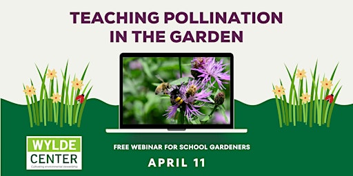 Imagen principal de School Garden Club: Teaching Pollination in the Garden