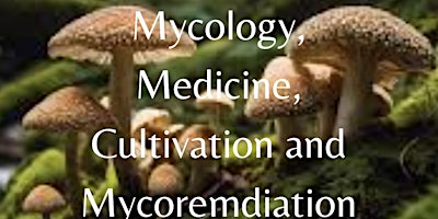 Imagem principal do evento Mycology, Medicine, Cultivation and Mycoremediation