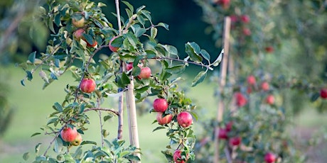 Late Summer Horticultural Crops Twilight primary image