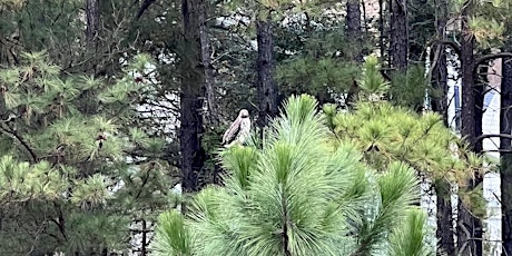 Birdwatching Class at the Cary Tree Archive