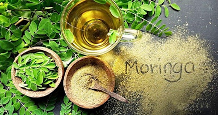 CLASS CANCELED: Moringa For People, Pets and Plants primary image