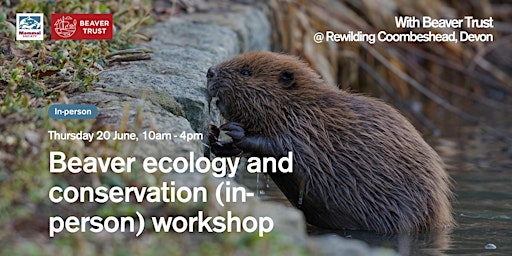 Imagem principal do evento Beaver Ecology and Conservation (in-person) workshop