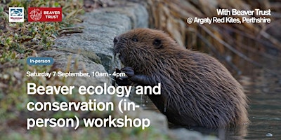 Beaver Ecology and Conservation (in-person) workshop primary image