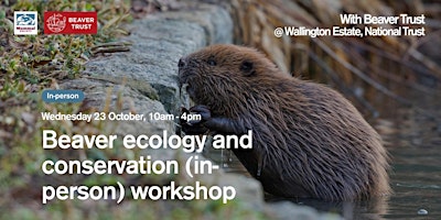 Imagem principal do evento Beaver Ecology and Conservation (in-person) workshop