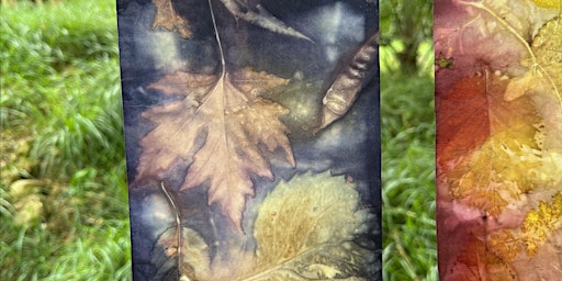 Immagine principale di Botanical Printing with Elisabeth Viguie Culshaw 