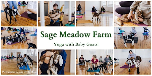 Hauptbild für Sage Meadow Farm  presents - Caprine Vinyasa
