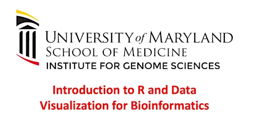 Imagem principal do evento Introduction to R and Data Visualization for Bioinformatics 2024
