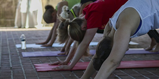 Hauptbild für Yoga on the Magnolia Terrace-Happy Hour Friday