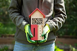 Hauptbild für Native Bees and Pollinator-Friendly Garden Workshop