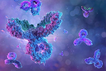 CovalX and IPA: A Discussion on the State of Antibody Development
