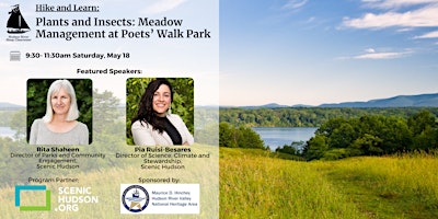Imagem principal do evento Plants and Insects: Meadow Management at Poets’ Walk Park