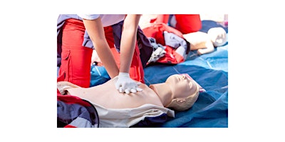 Primaire afbeelding van Pediatric CPR/AED/First Aid