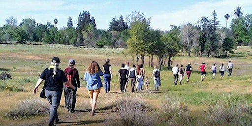 Monthly T.E.K. Plant Walk at Verbena Fields primary image