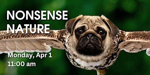 Imagem principal do evento Nonsense Nature - An April Fools Day Adventure