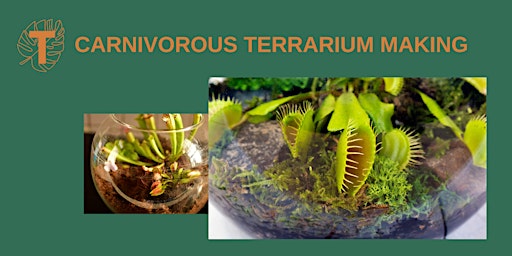 Carnivorous Terrarium Building primary image