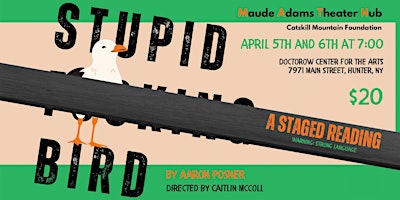 Imagem principal do evento Theater: Stupid F*ing Bird, by Aaron Posner SATURDAY