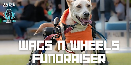 Imagem principal do evento Wag N’ Wheels Fundraiser