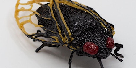 Adventures in 3D: Cicadas