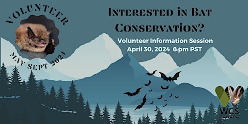 Imagen principal de Vancouver Bat Volunteer Information Session