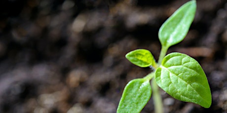 Hauptbild für Nillumbik Small Business Week - Regenerative Agriculture