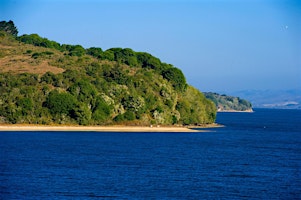 Imagem principal de California State Parks Week 2024: Tomales Bay Bioblitz