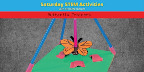 Butterfly Trainers at  Malanda  Library primary image