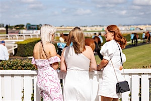 Imagem principal do evento Aquis Park Raceday